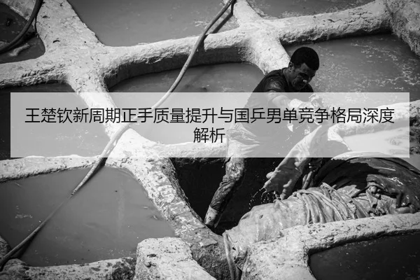 王楚钦新周期正手质量提升与国乒男单竞争格局深度解析